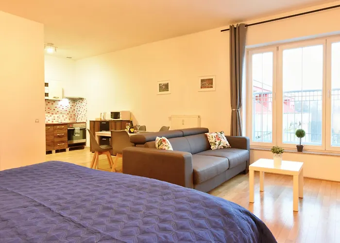 Karlsbad Apartment Apartment